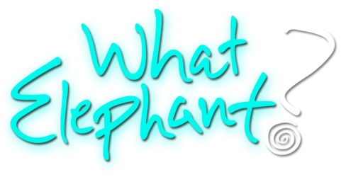What Elephant? | Official Website